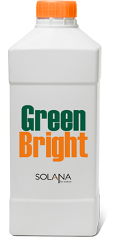 Green bright Green bright